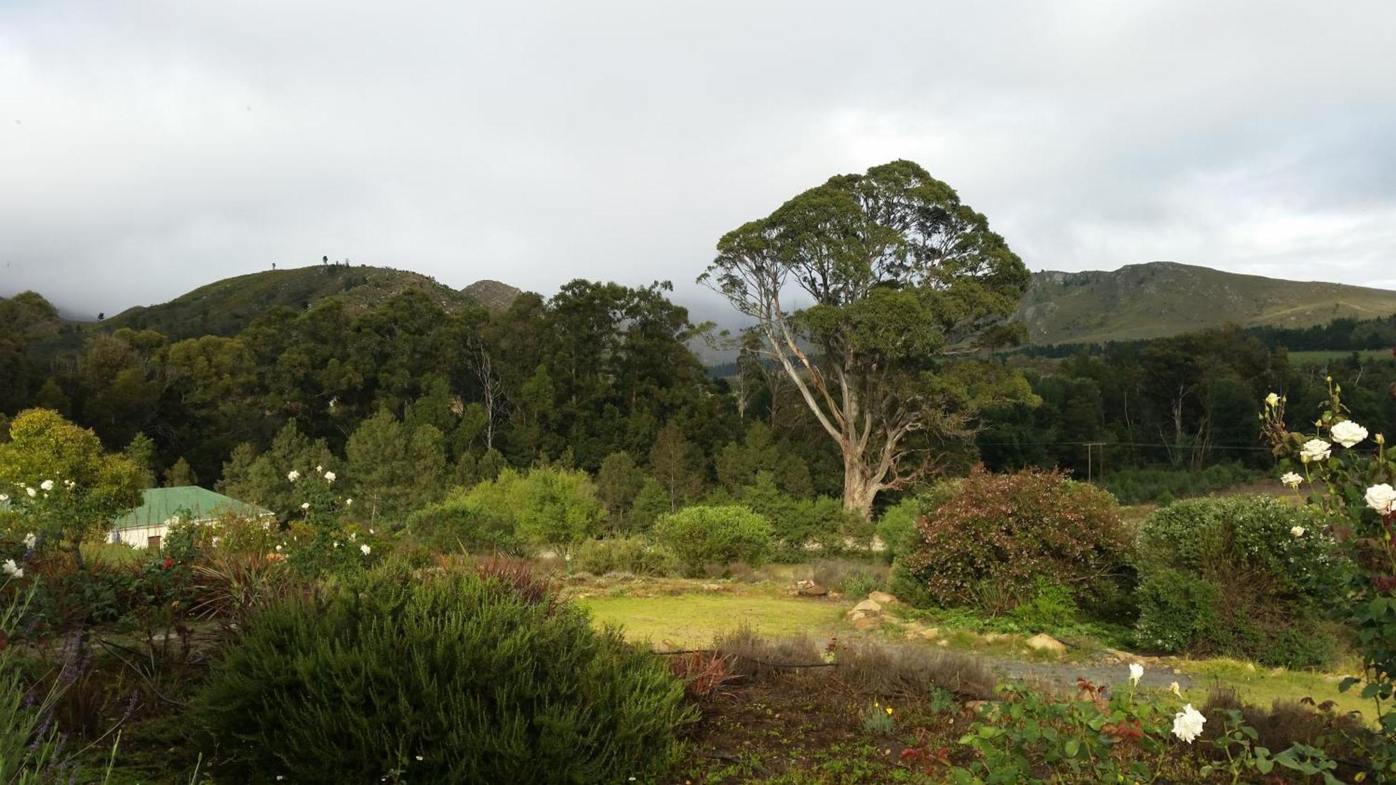 Over The Mountain Guest Farm Bed and Breakfast George Exteriör bild