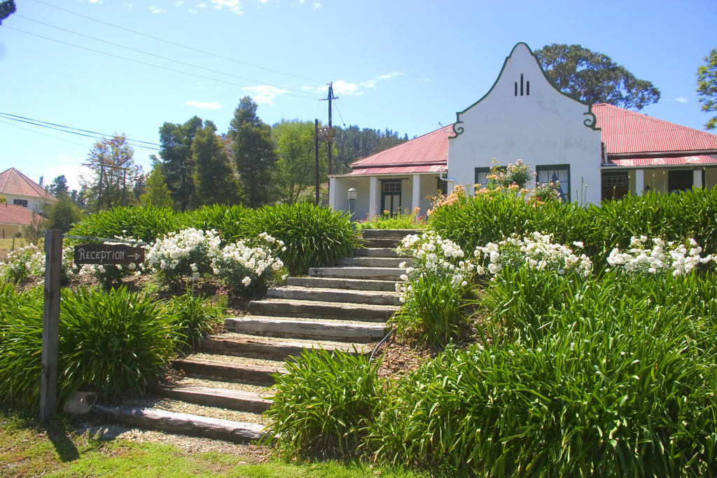 Over The Mountain Guest Farm Bed and Breakfast George Exteriör bild