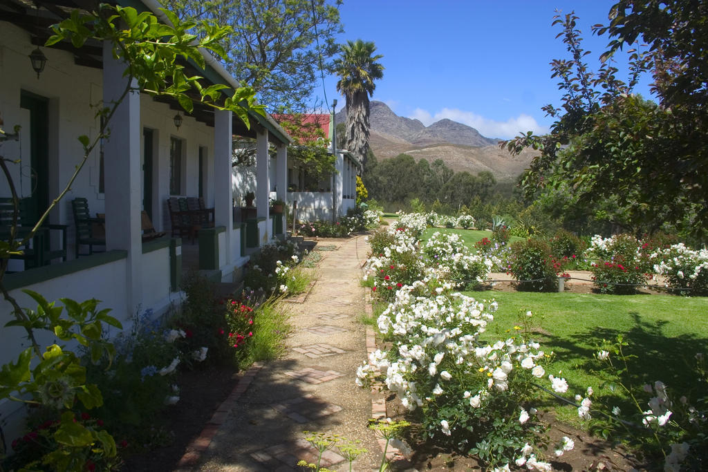 Over The Mountain Guest Farm Bed and Breakfast George Exteriör bild